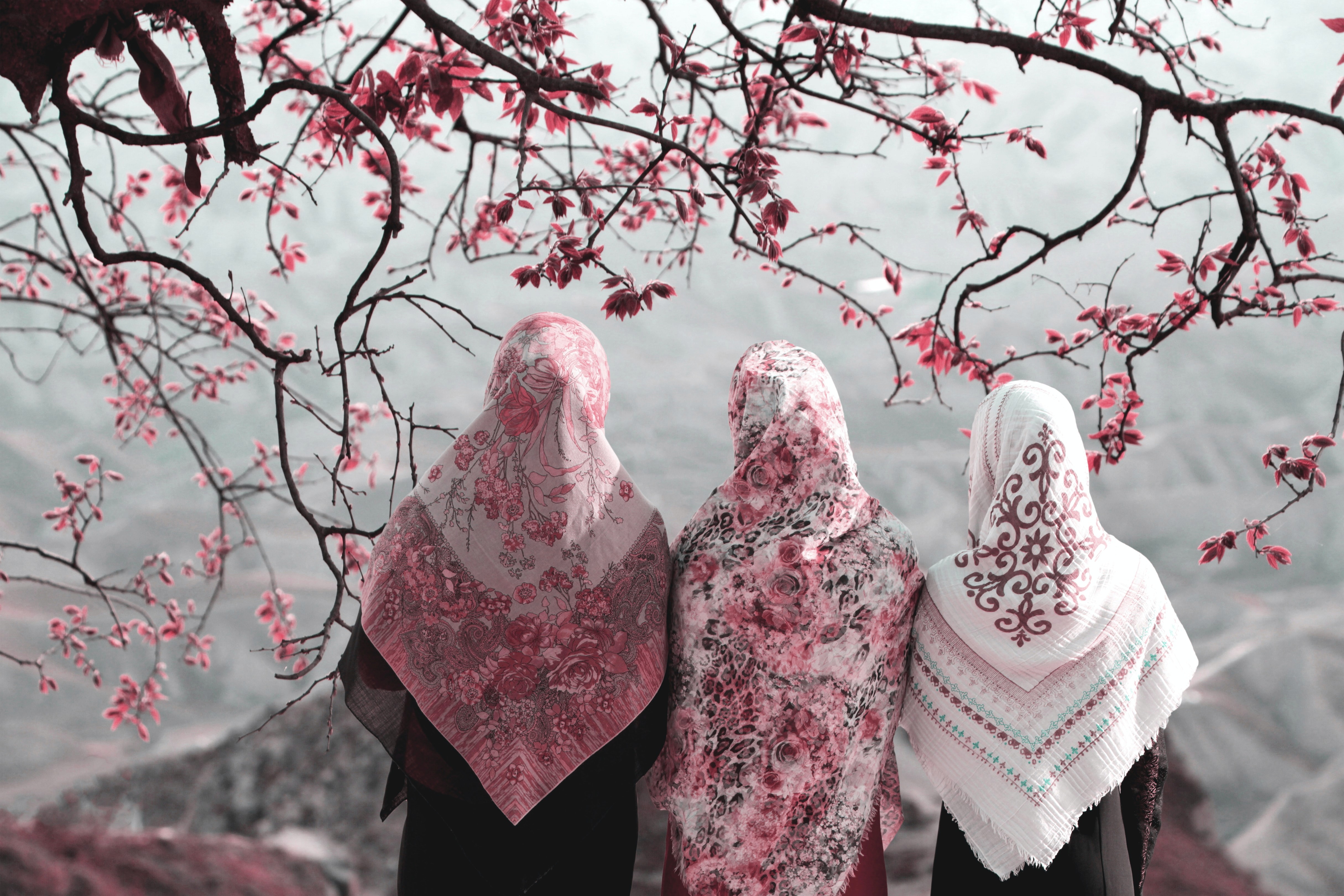 Three Muslim women wearing pink and white head coverings.