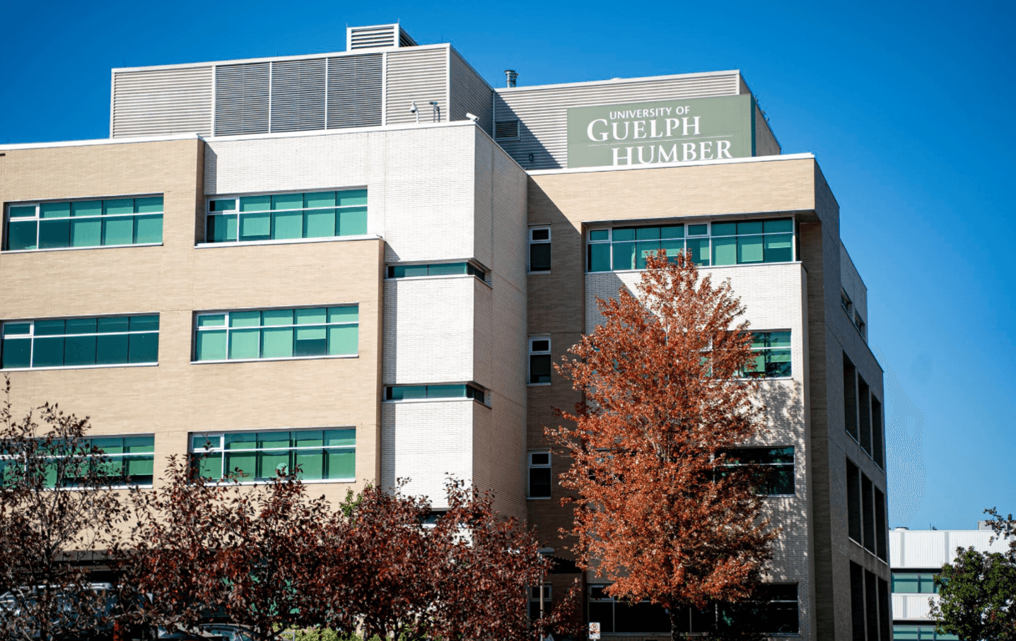 a group of people walking on a sidewalk