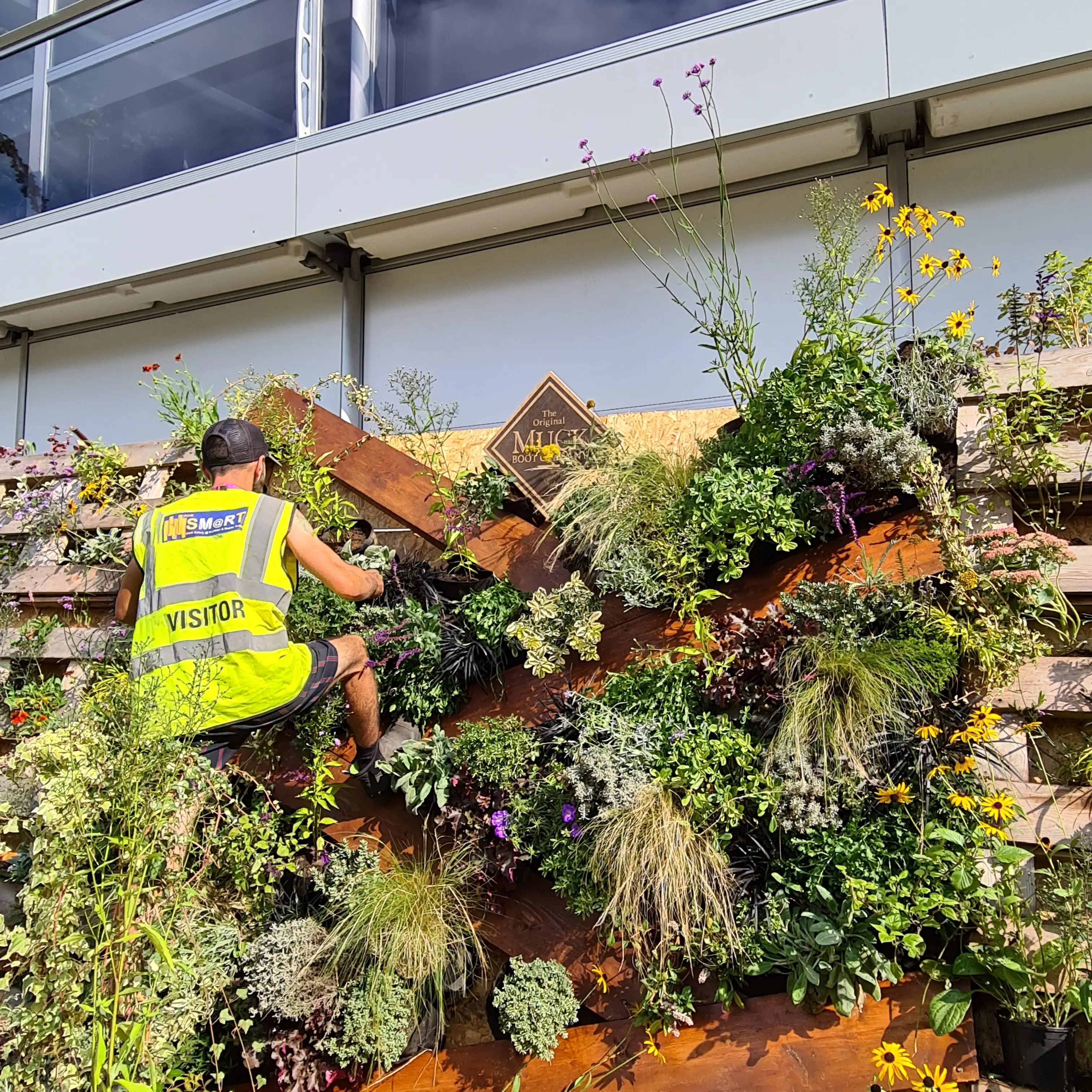 A vertical garden display with various plants, mounted on a wooden structure near a building.