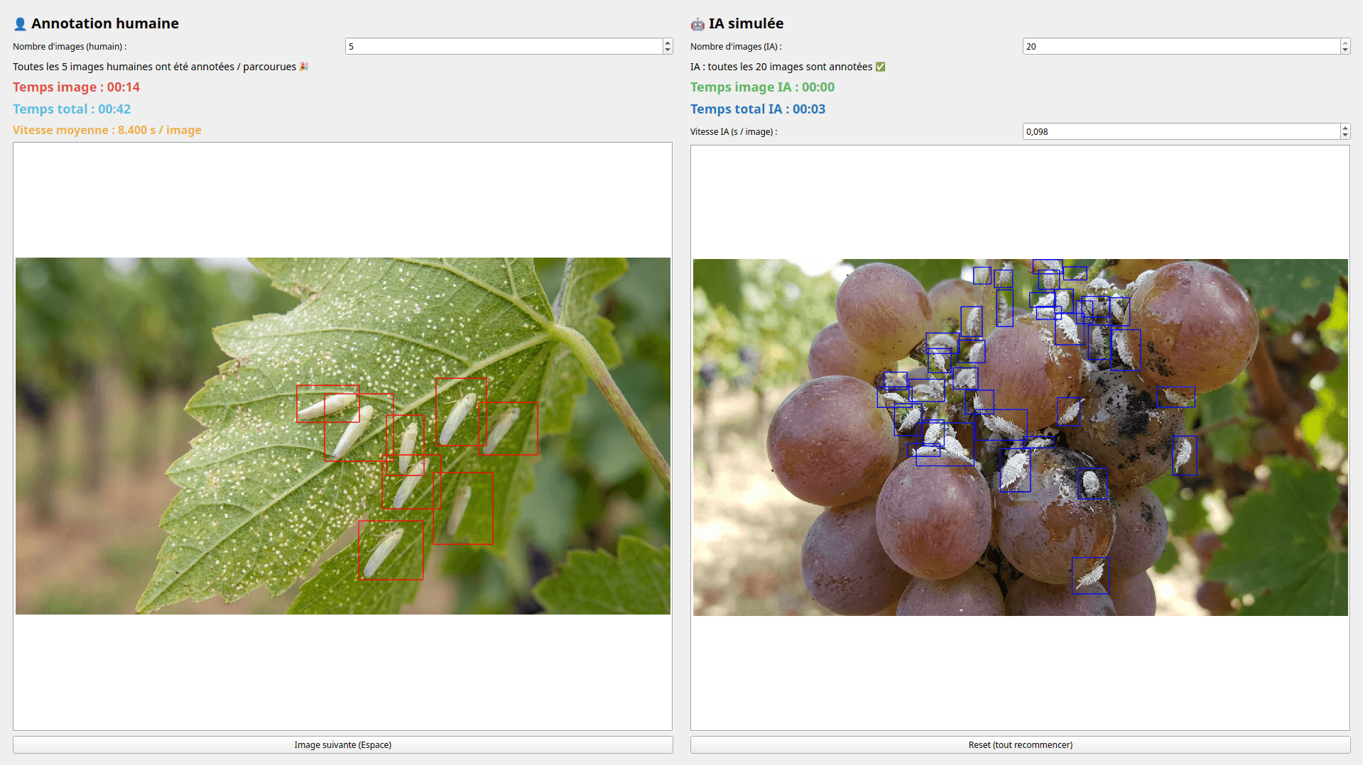 Final result: 5 images annotated by hand in 42 seconds. 20 images annotated by AI in 3 seconds.