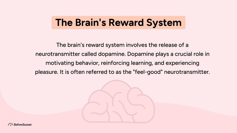 The Brain's Reward System