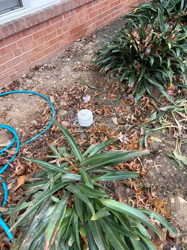 A white exterior sewer cleanout pipe in a residential yard, used by plumbers to access and clear blockages for main drain cleaning and sewer line services.