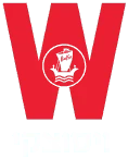 ויסוצקי
