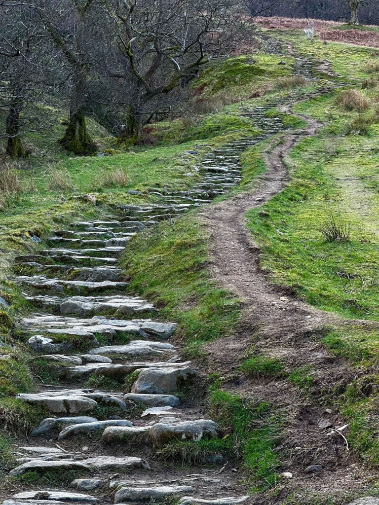 The long windy stone stairs that lead up to Wansfell. A smoother dirt track winds alongside it.