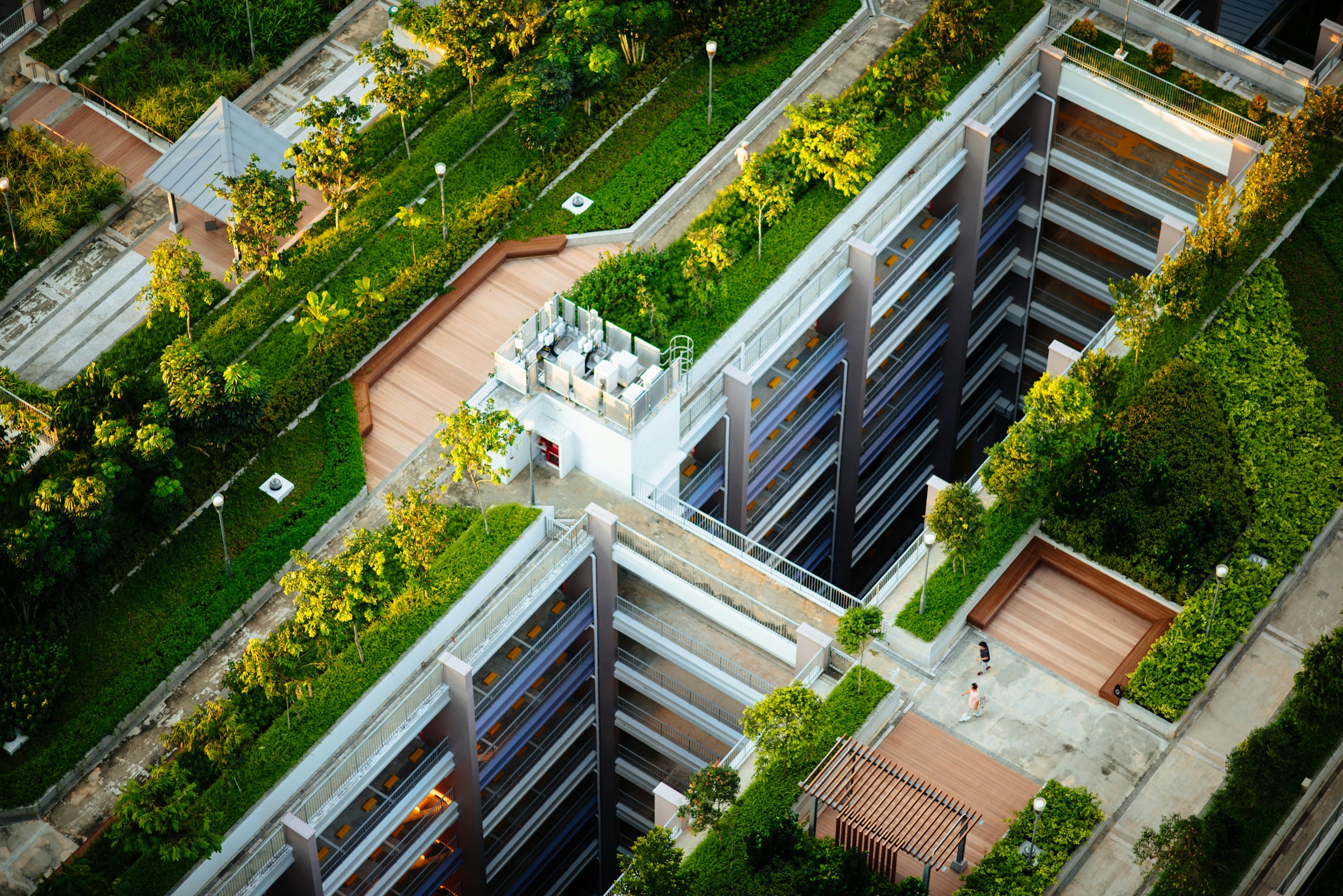 Drone shot of a green rooftop with plants on it
