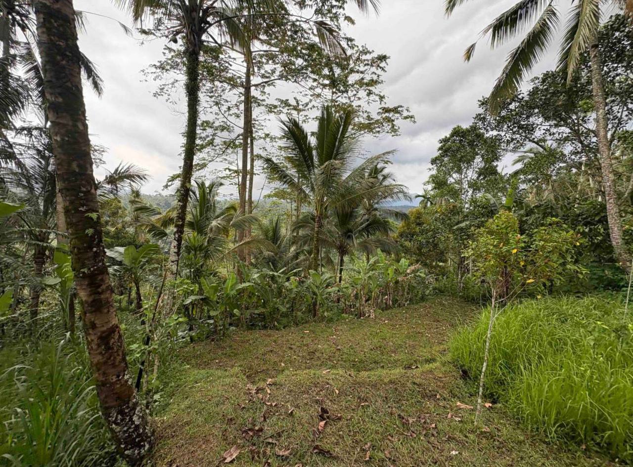 Land plot 4,000 m² in Buahan, Ubud area, Leasehold