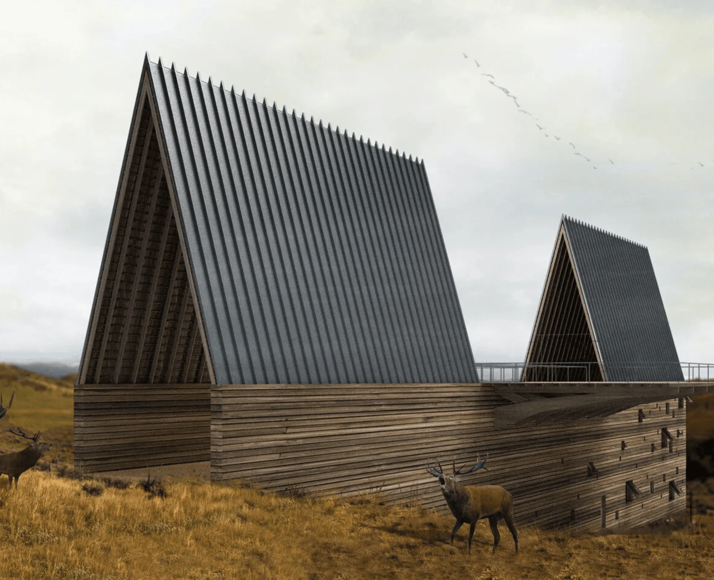 Two weathered wood A-frame volumes with corrugated metal roofs connected by a bridge, set in an open Montana pasture with grazing elk nearby