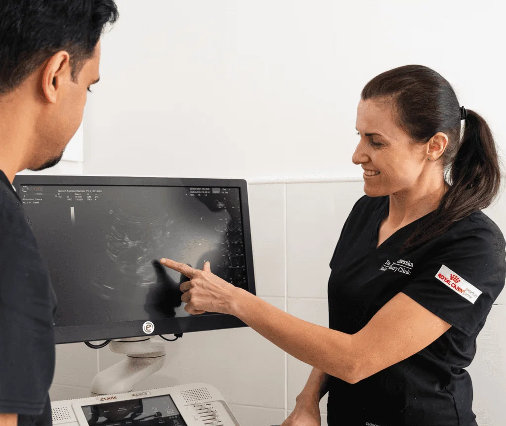 Dr. Paulina Czerska points at an ultrasound image on a monitor at Noble Veterinary Clinic, explaining the scan to a colleague.