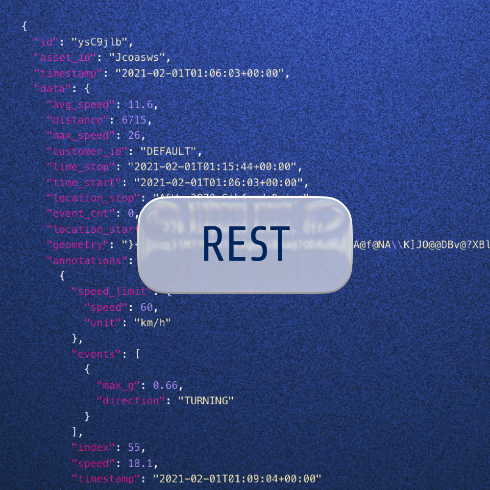 Sylized code referencing Velavu REST API