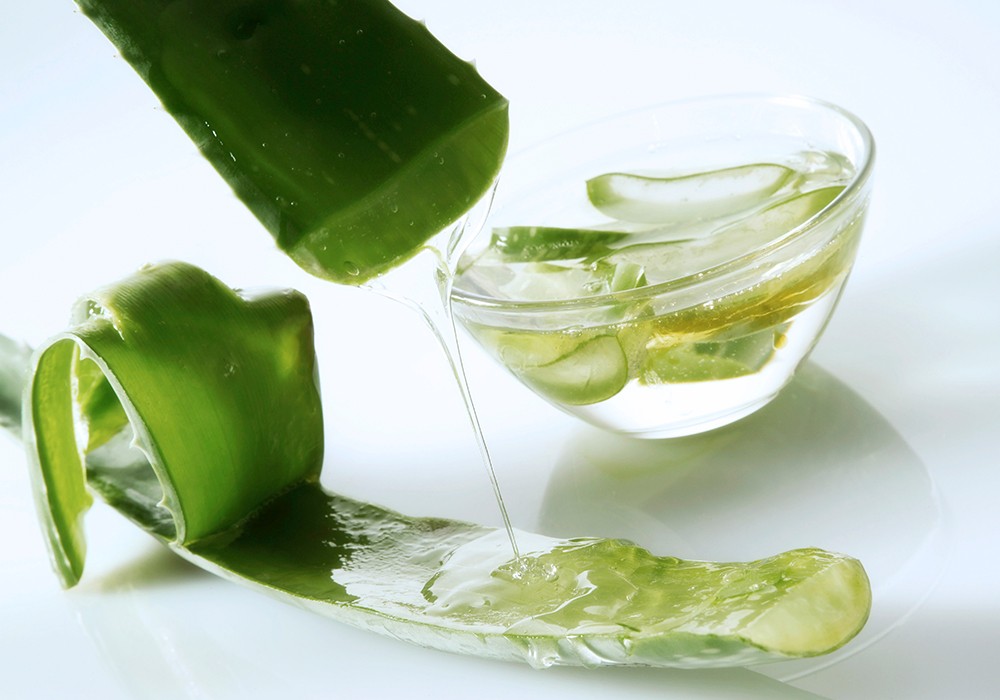 aloe gel 