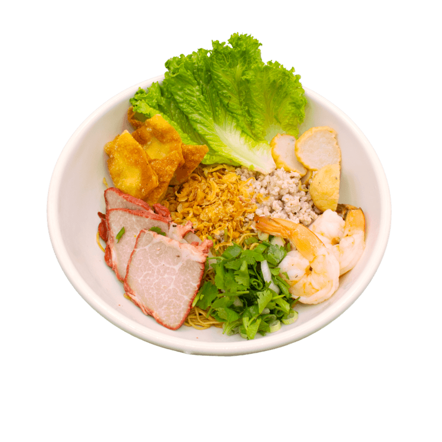 special-noodle-combo