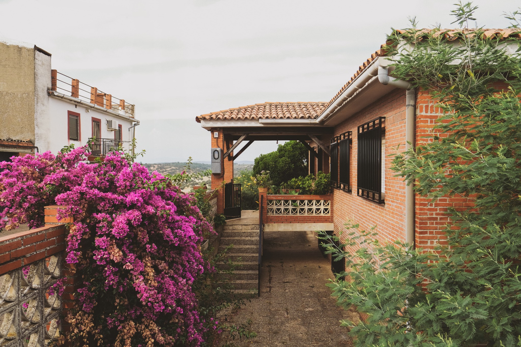 Casa entera con árboles y plantas