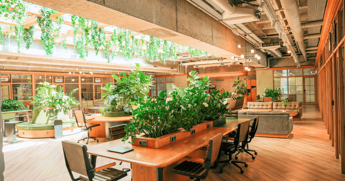 an office lush with plants