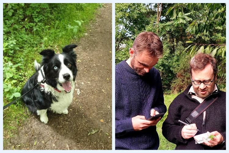 Bubbles the dog, and Peter foraging with colleagues on a work teambuilding day.
