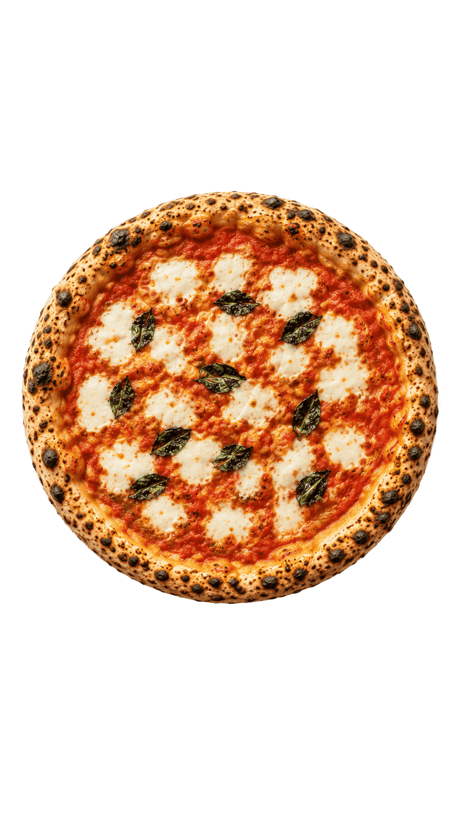 Pizza Image (Background Removed)