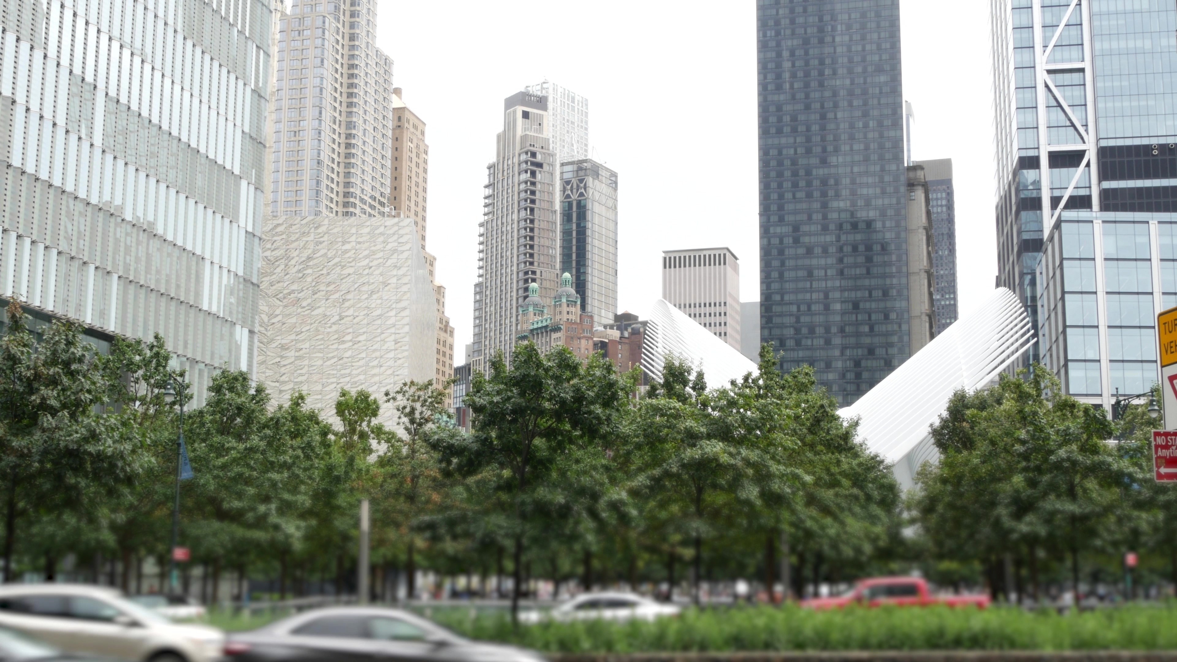 Image of busy New York City street with law offices highlighting local legal services.