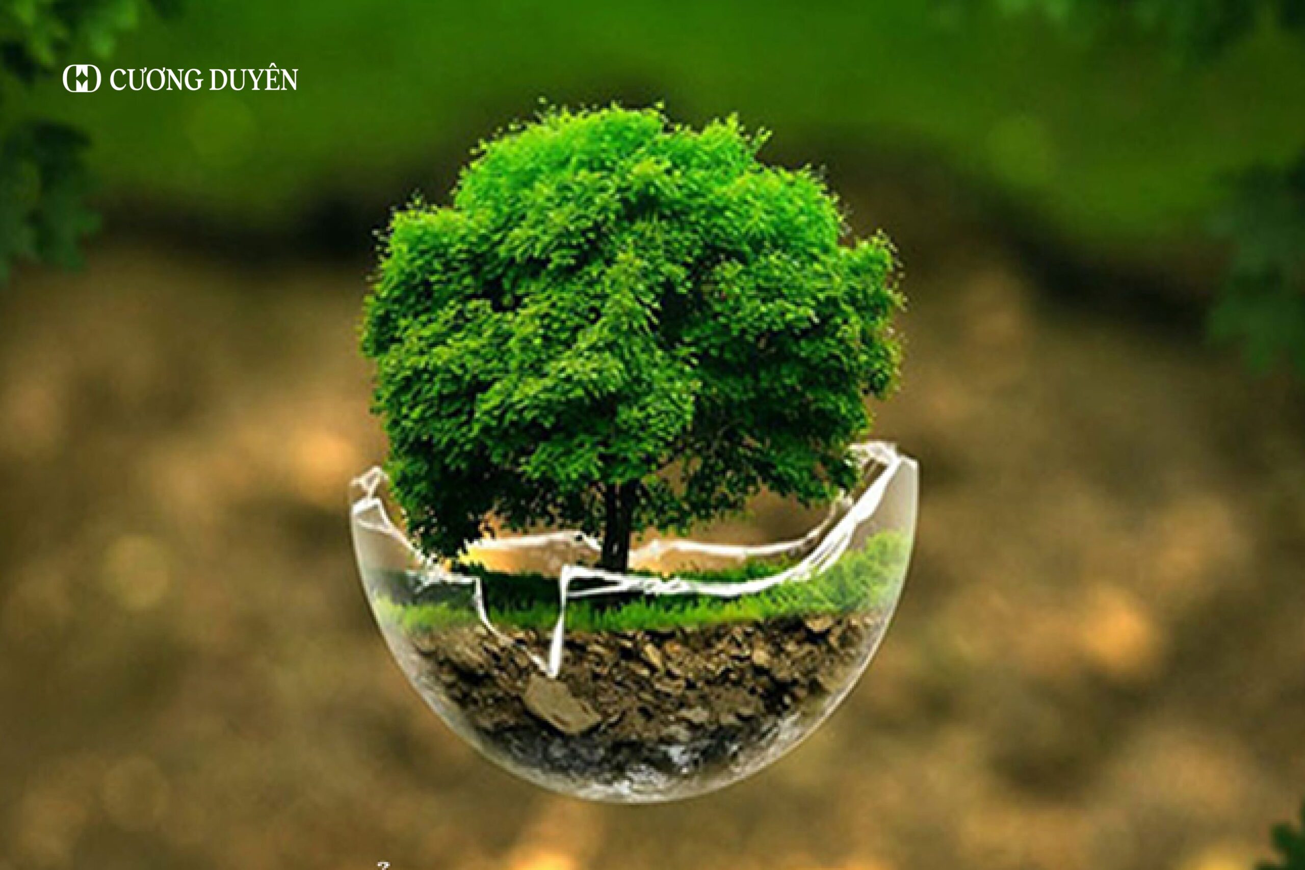 bình gốm cho người mệnh mộc