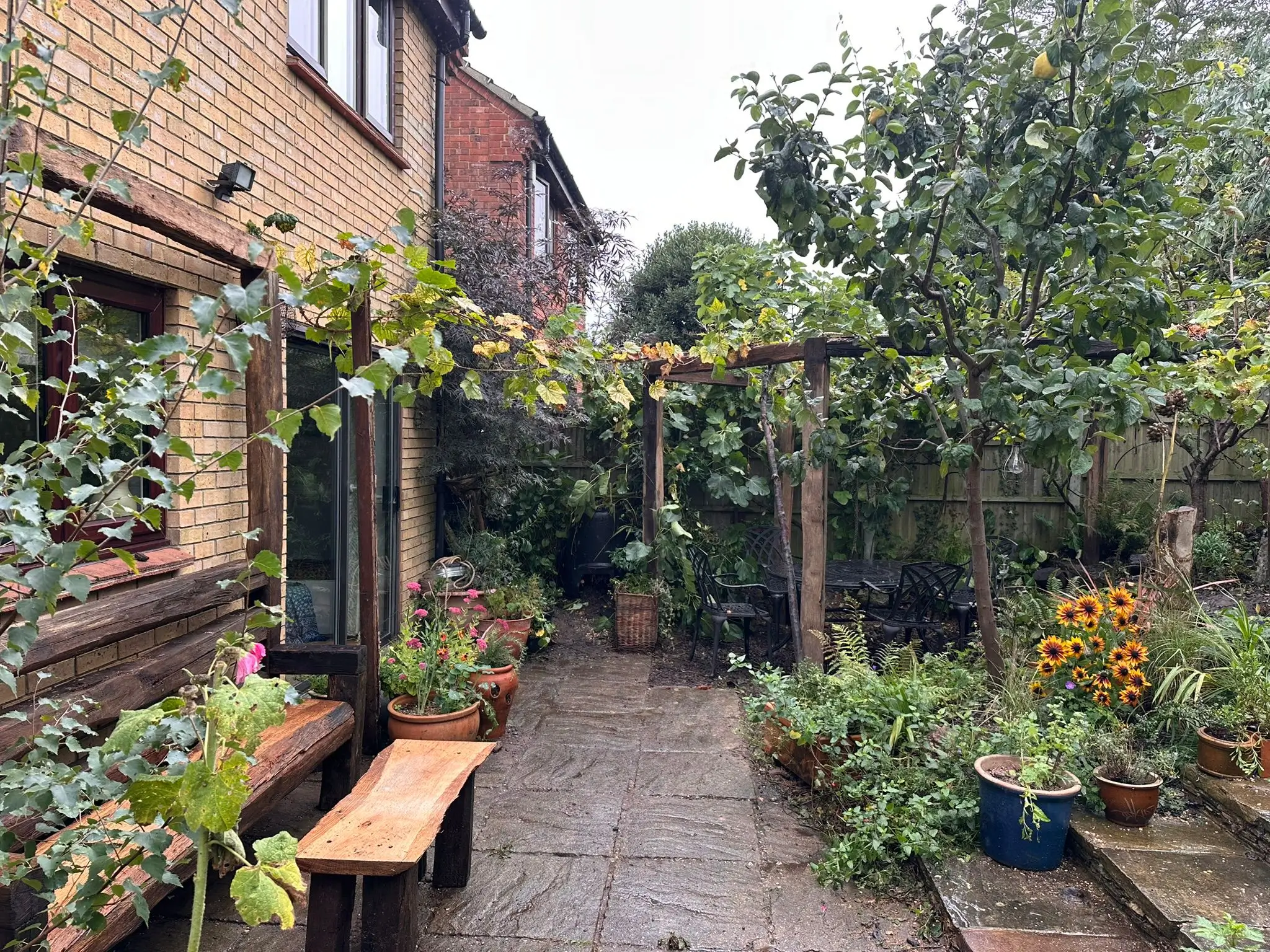 A lush garden path lined with plants and a wooden bench, leading to a cozy, green-filled outdoor space.