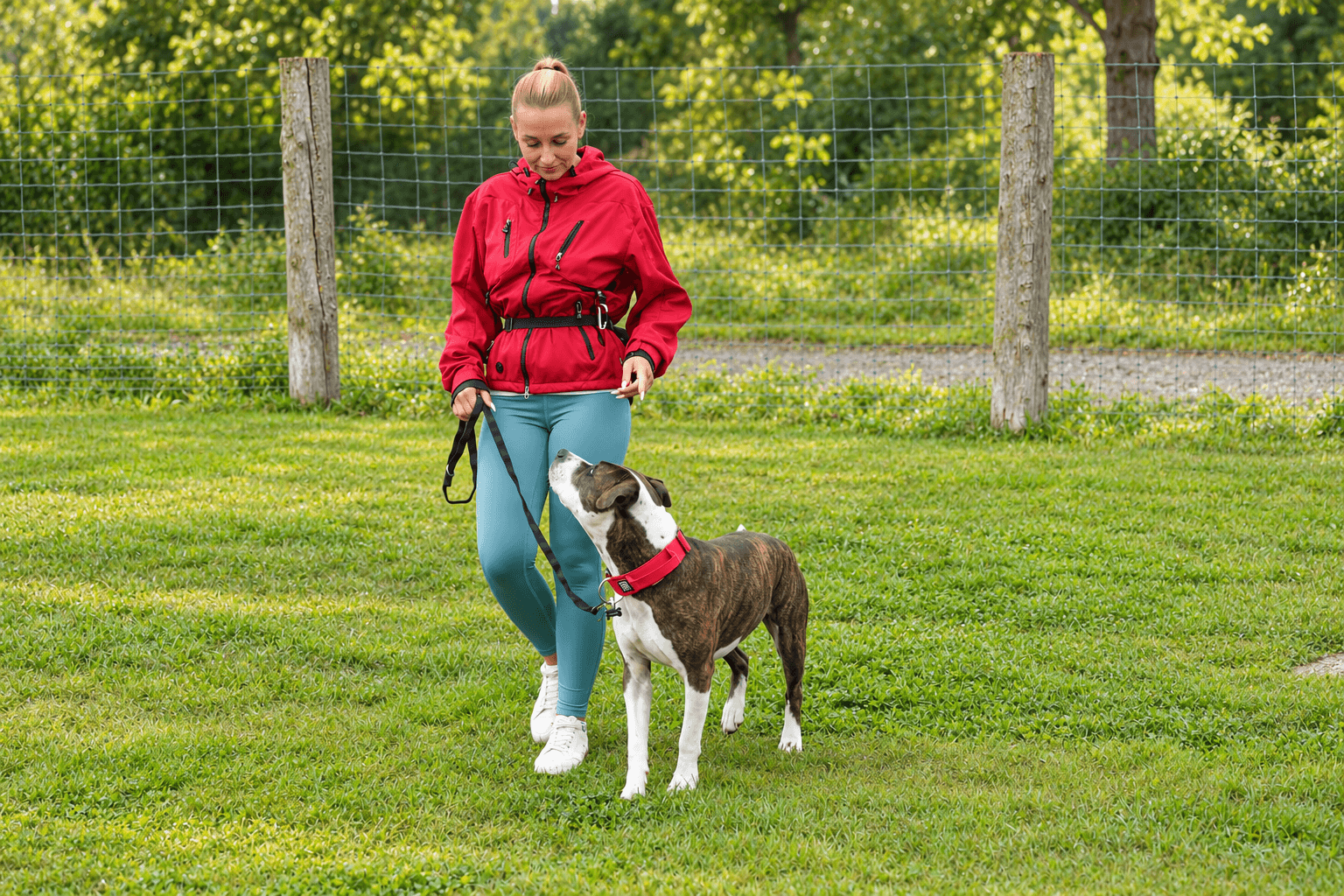 Training mit Cintia und Hund, Bild 3