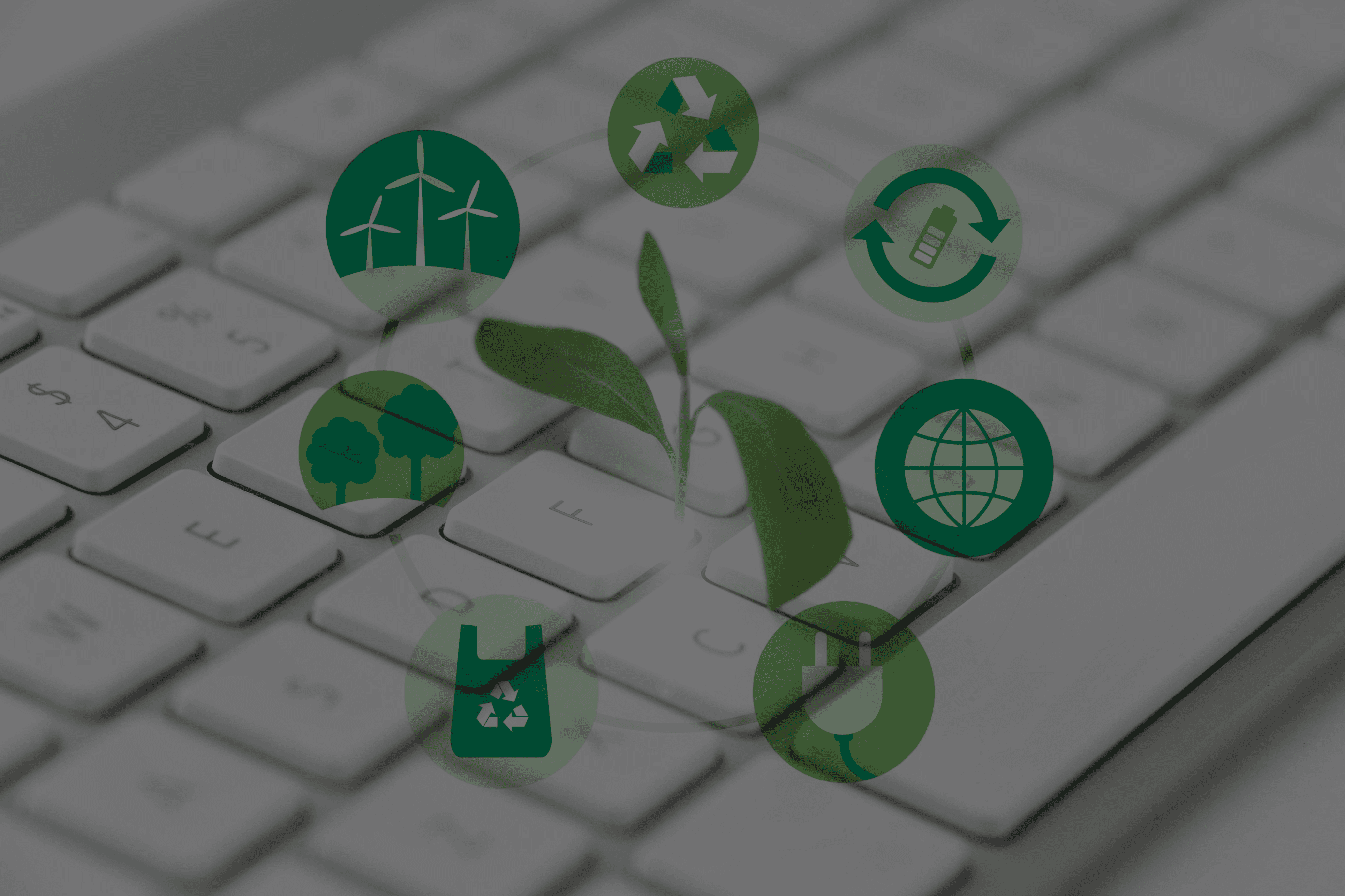 Plante poussant entre les touches d'un clavier, illustrant le développement durable et l'écologie numérique