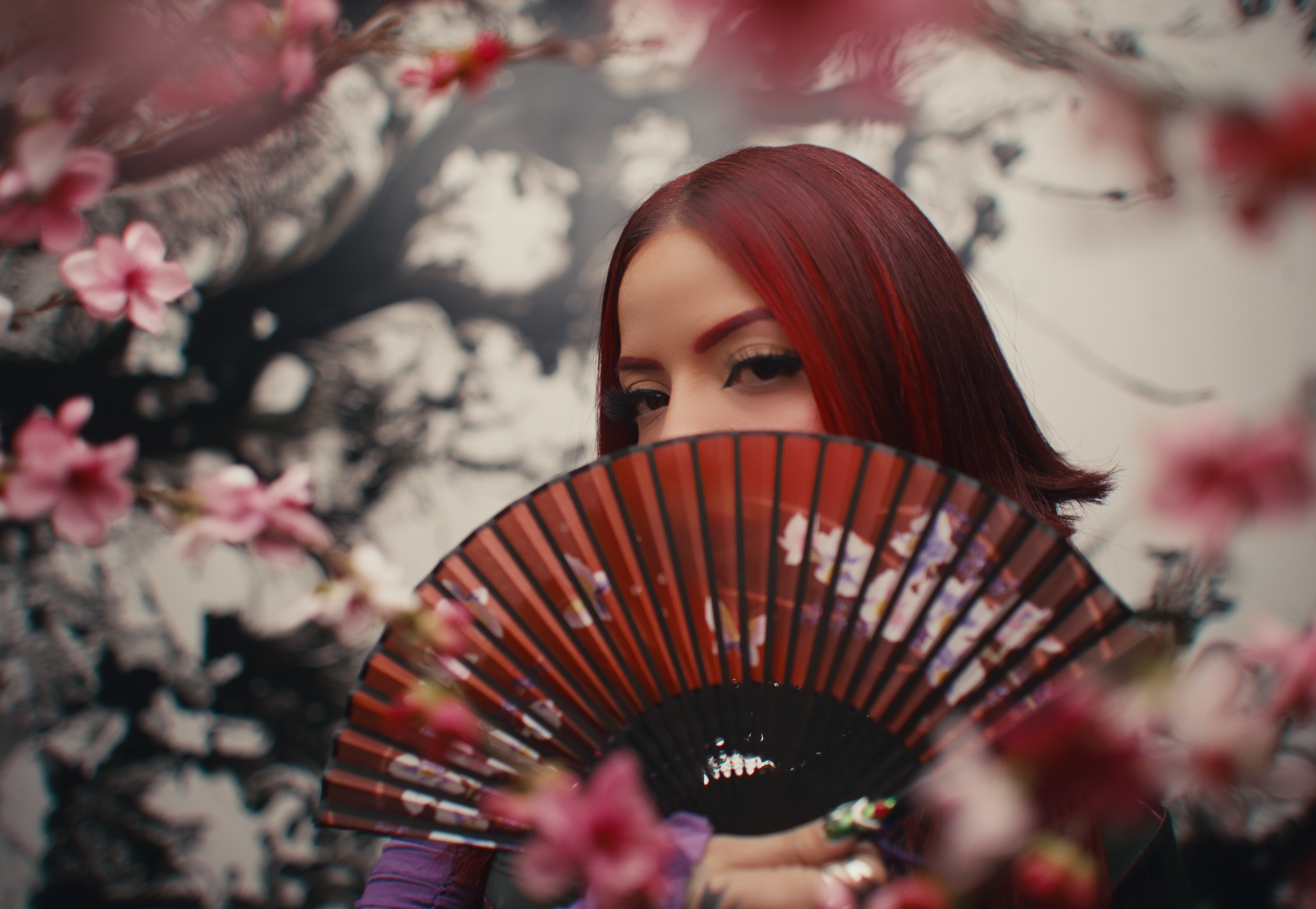 Dom Pérignon vineyards from the sky