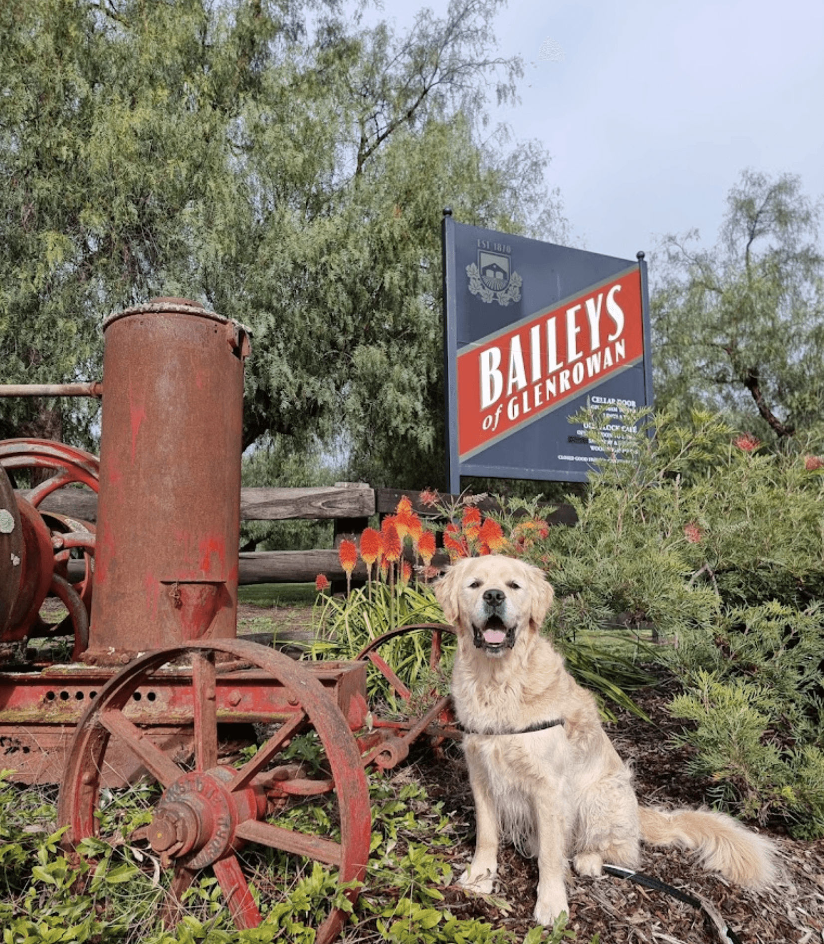 Baileys of Glenrowan