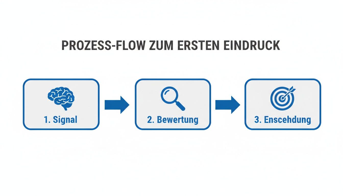 Diagramm zum Prozess der ersten Eindrücke: Signal, Bewertung und Entscheidung mit entsprechenden Icons.