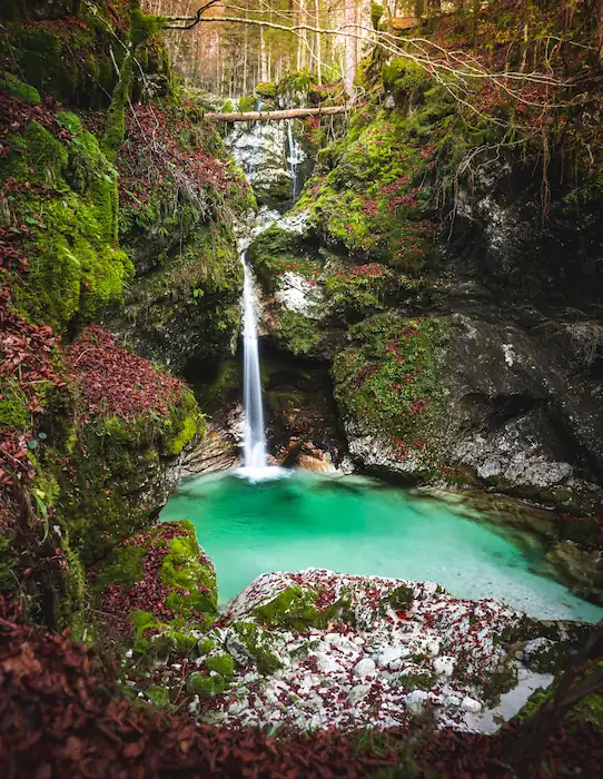 A small waterfall falling into a pool of emerald water in an autumn colored forest in Slovenia.