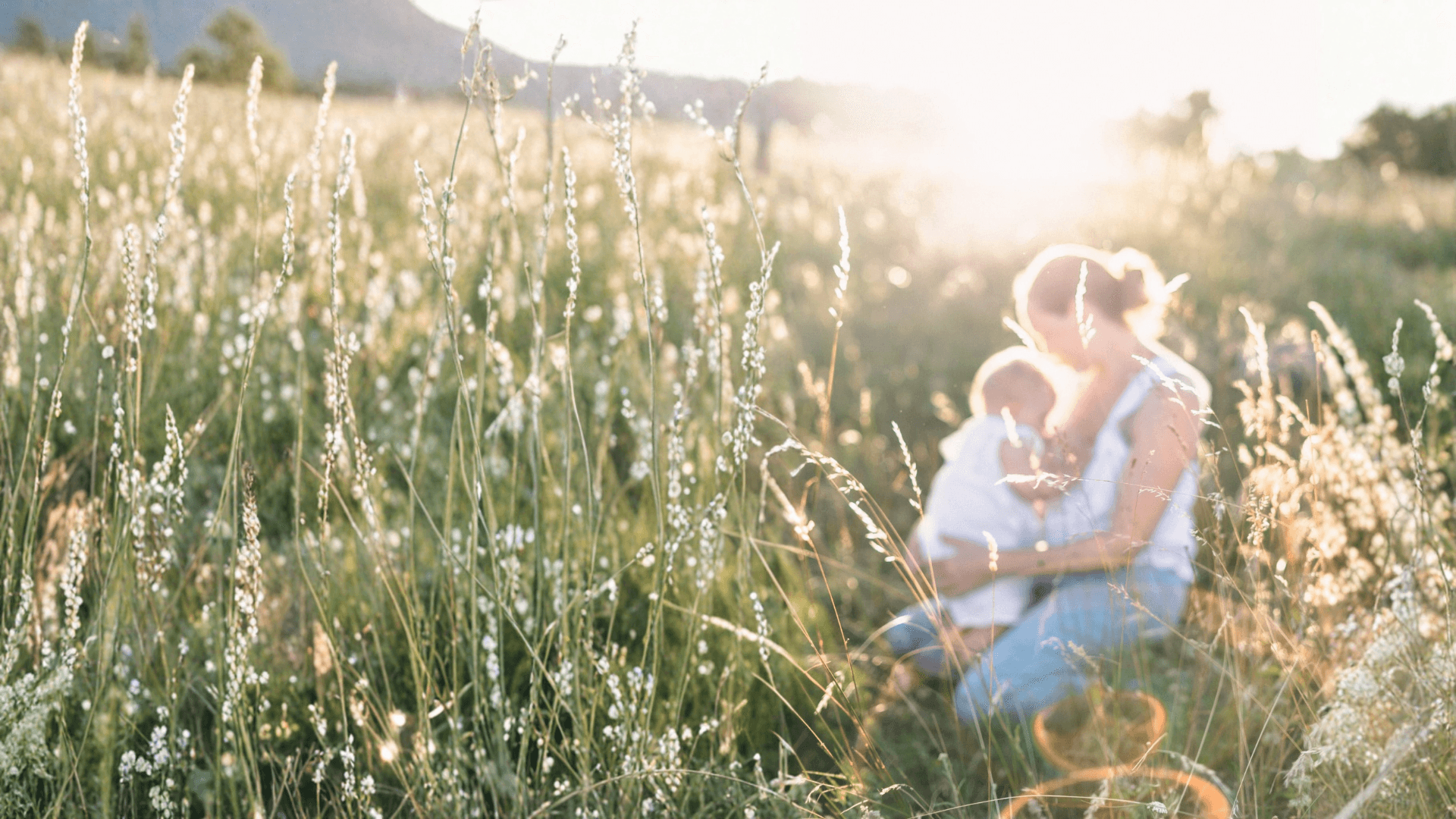 Mutter stillt ihr Baby in einer Wiese im warmen Abendlicht