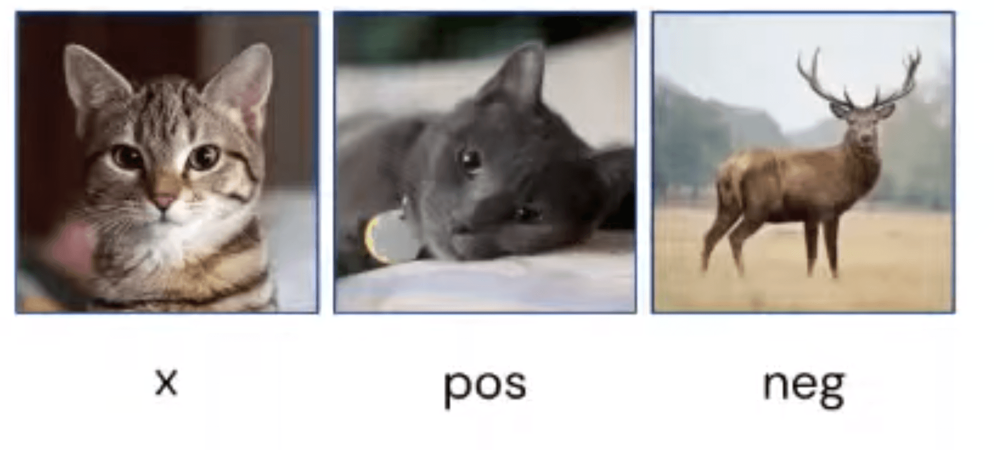 A sample with positive and negative images