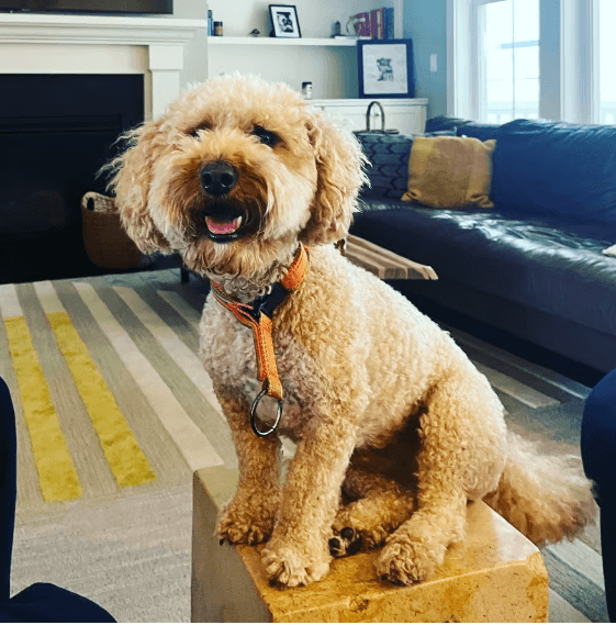 where did this week even go? i bet you feel the same way