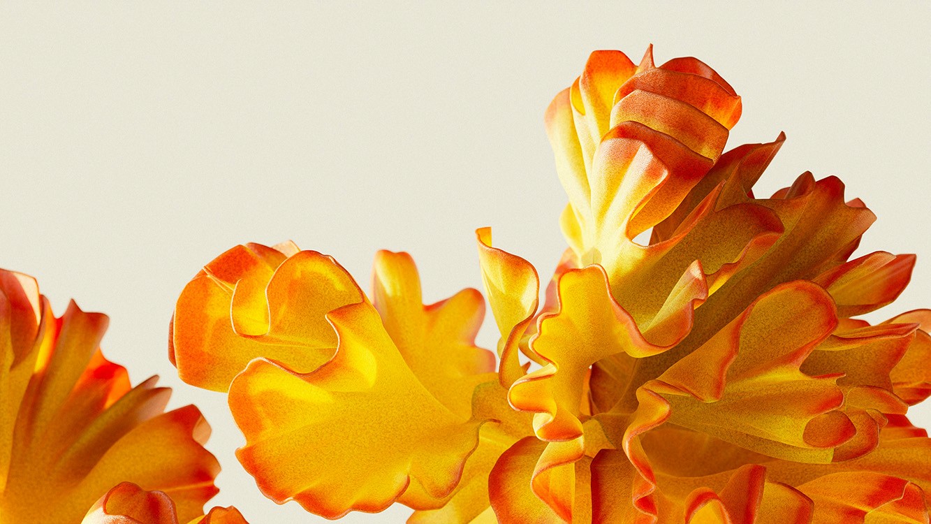 Soft, organic white form floating against a dark background, resembling a petal or folded fabric.