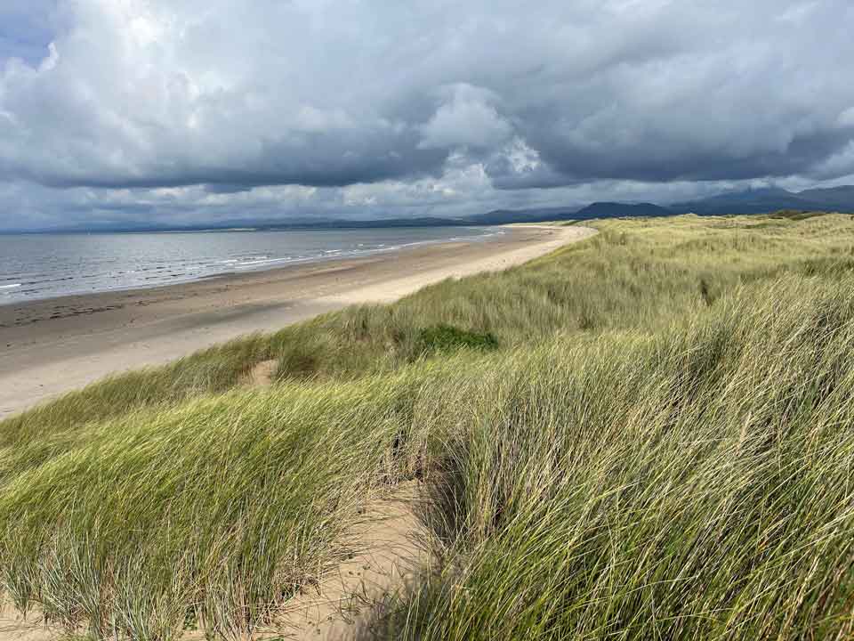 Feral Swan: restorative and ecotherapy – image of a empty dune-backed and cloud swept beach in the UK