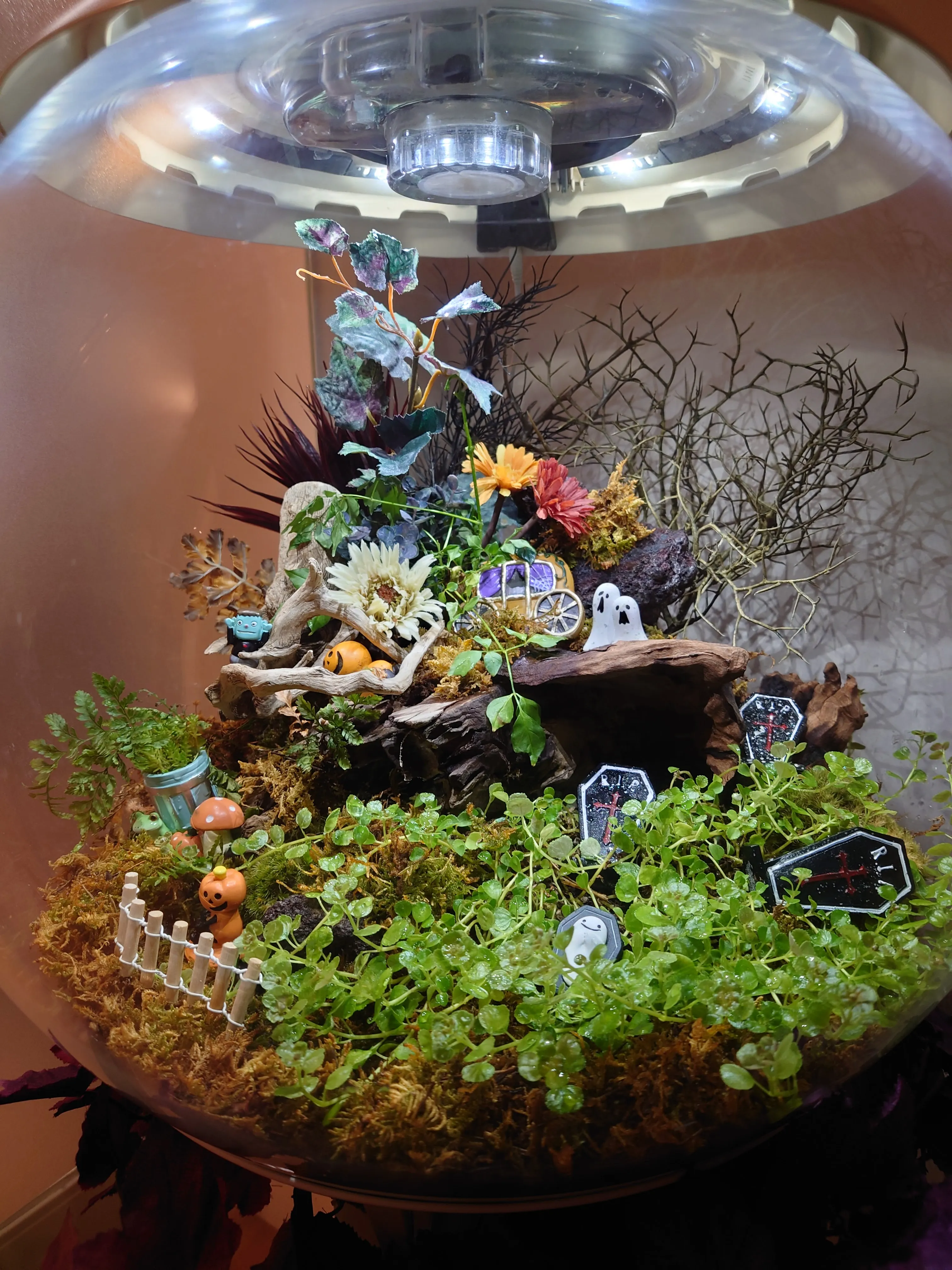 植物と小物で構成されたテラリウムのレイアウト例