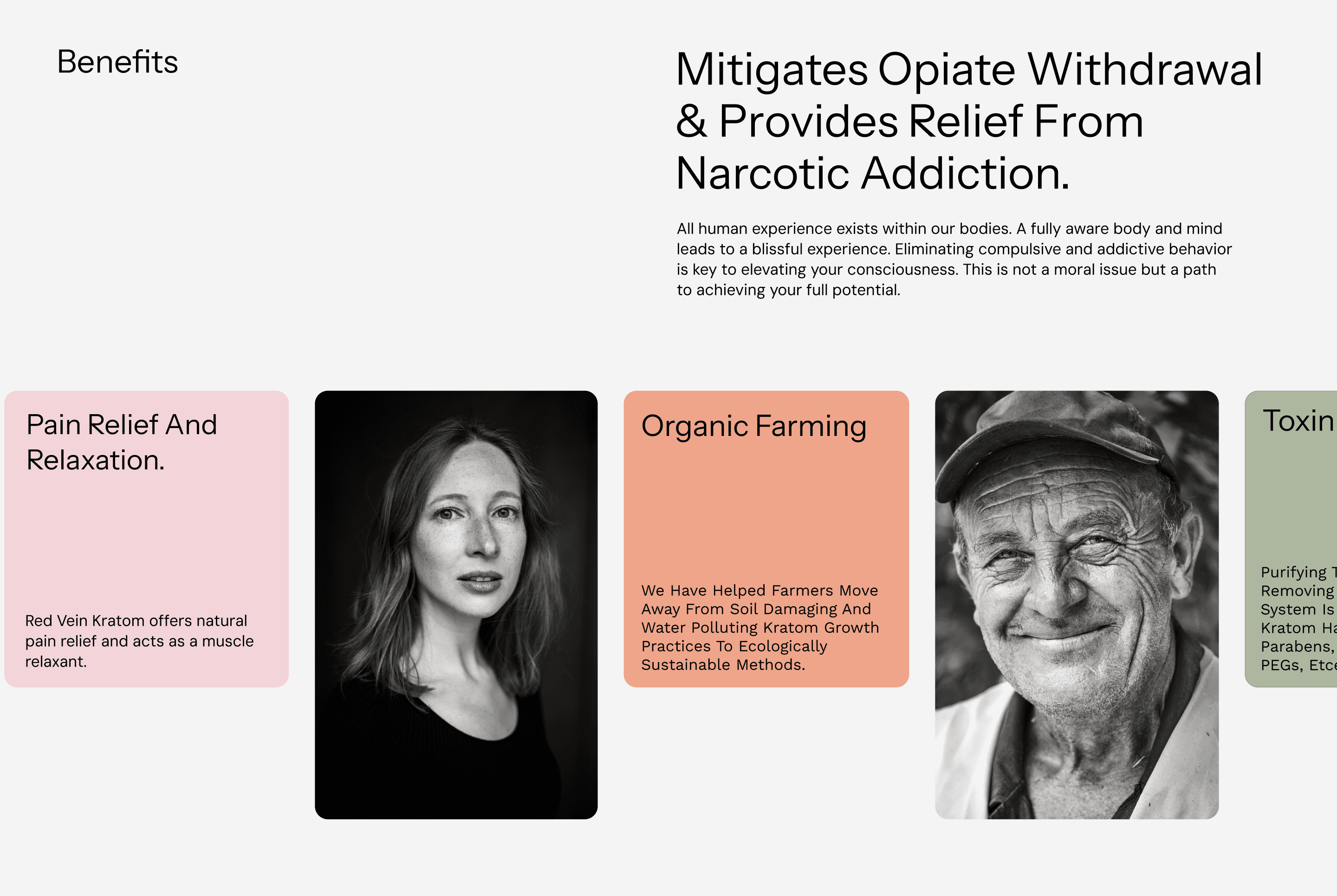 Nippon Kratom "Benefits" section showcasing pain relief, organic farming practices and toxin free products. A section focused on natural wellness.