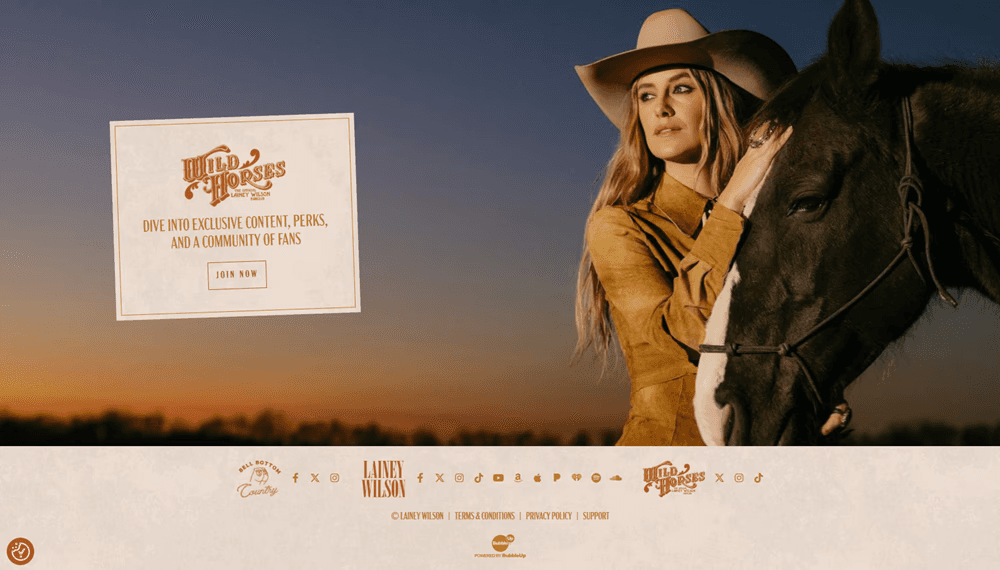 lainey wilson  website footer