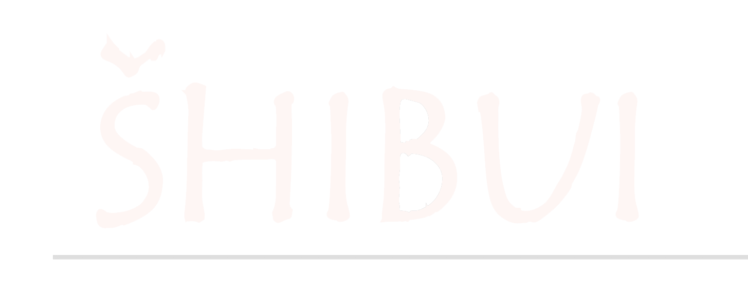 Shibui logo in white text on a black background.