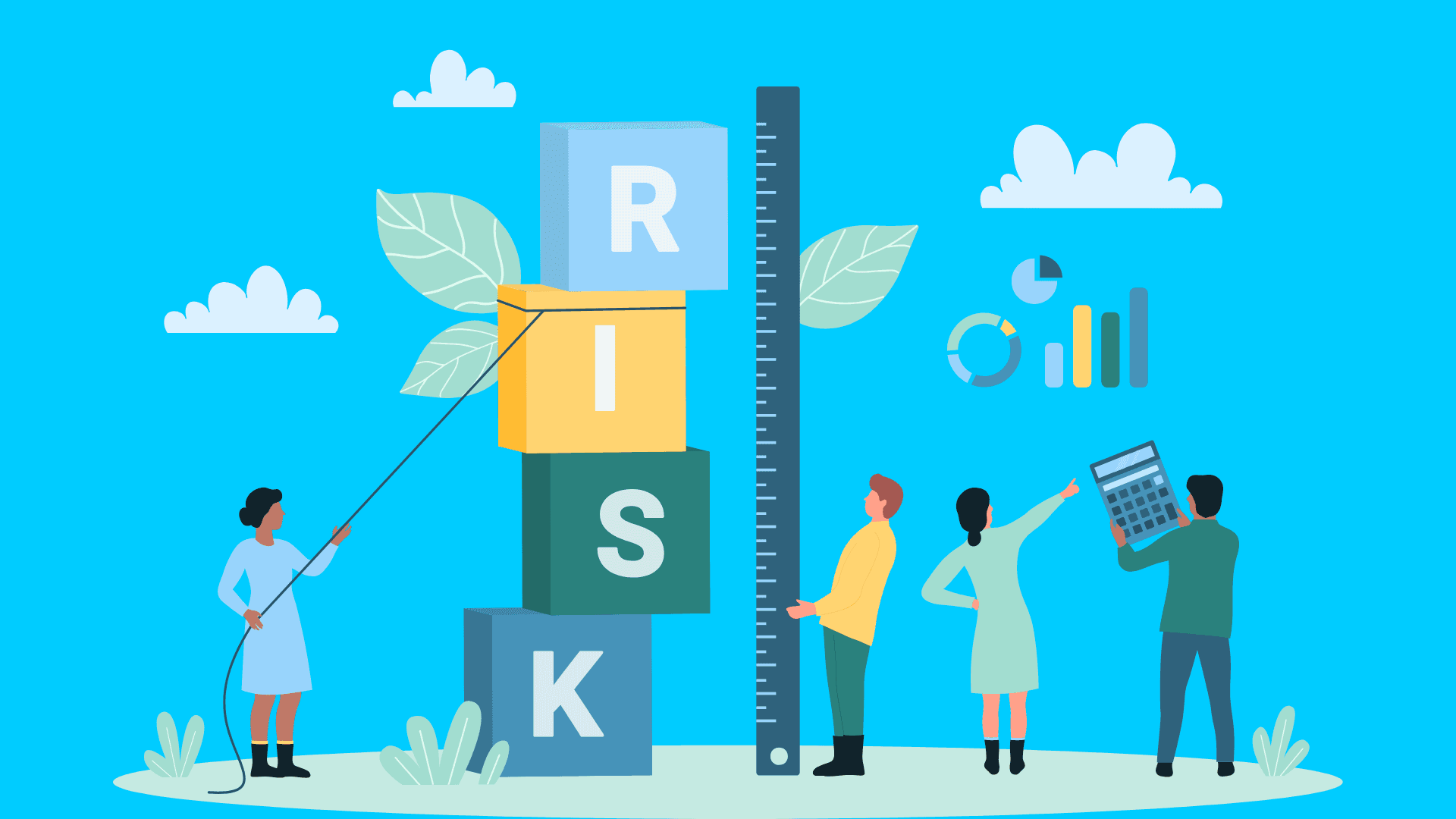 risk management