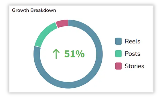 Donut chart showing a 51% growth breakdown for Reels, Posts, and Stories.