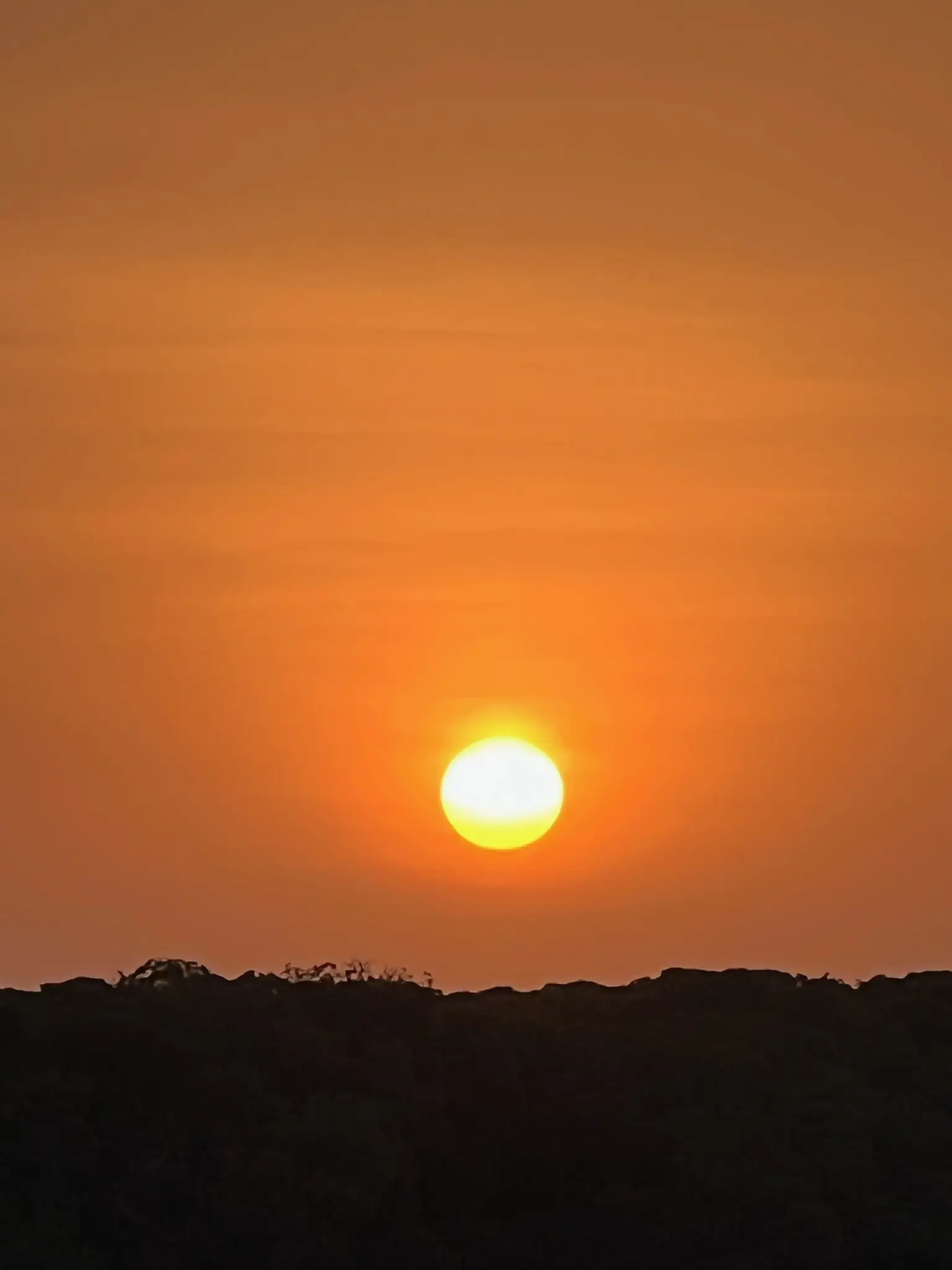 Usahili Tour in Kenya