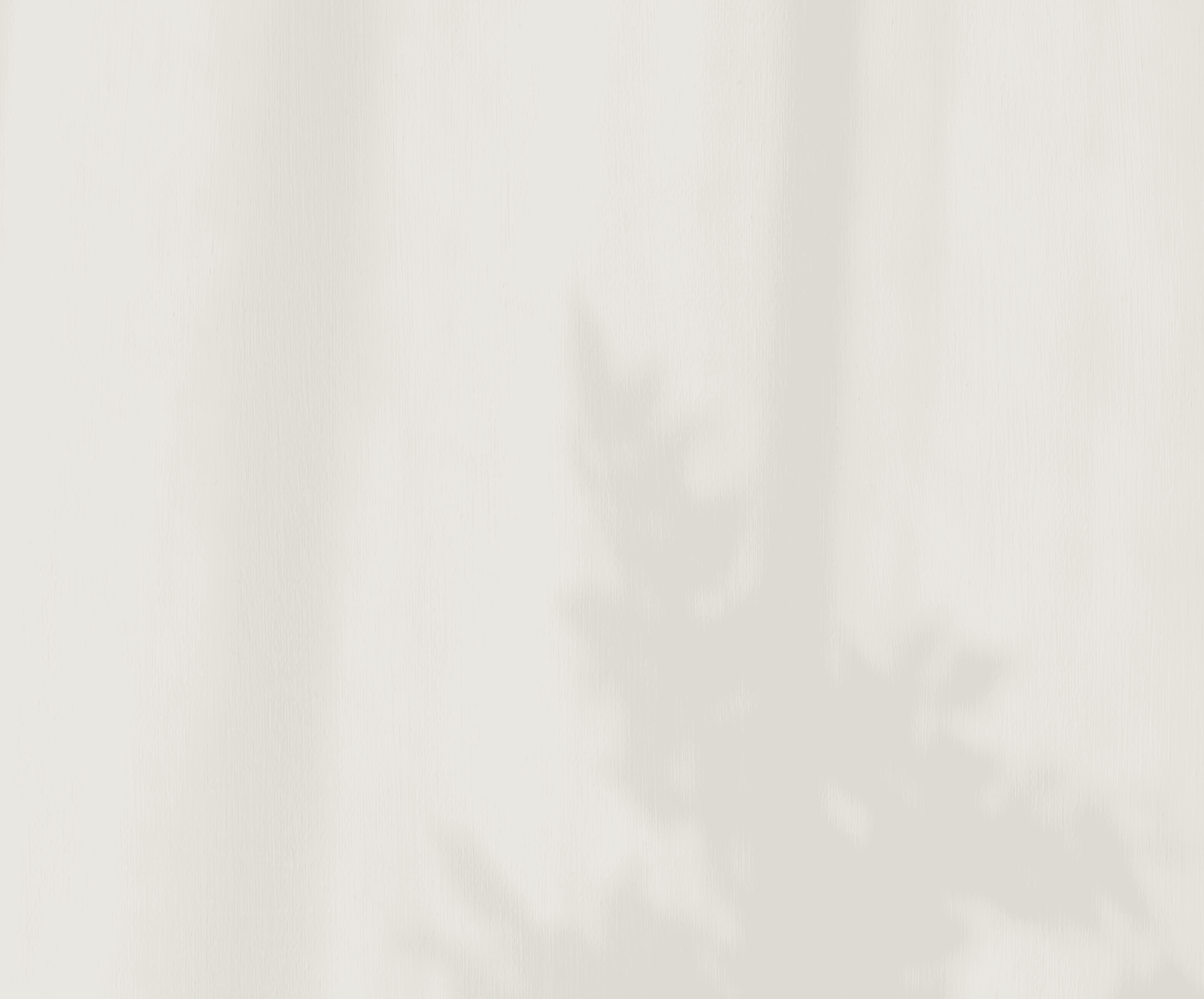 Hintergrundbild aus Schatten und Blumen für die Website von Maria Wiethaler