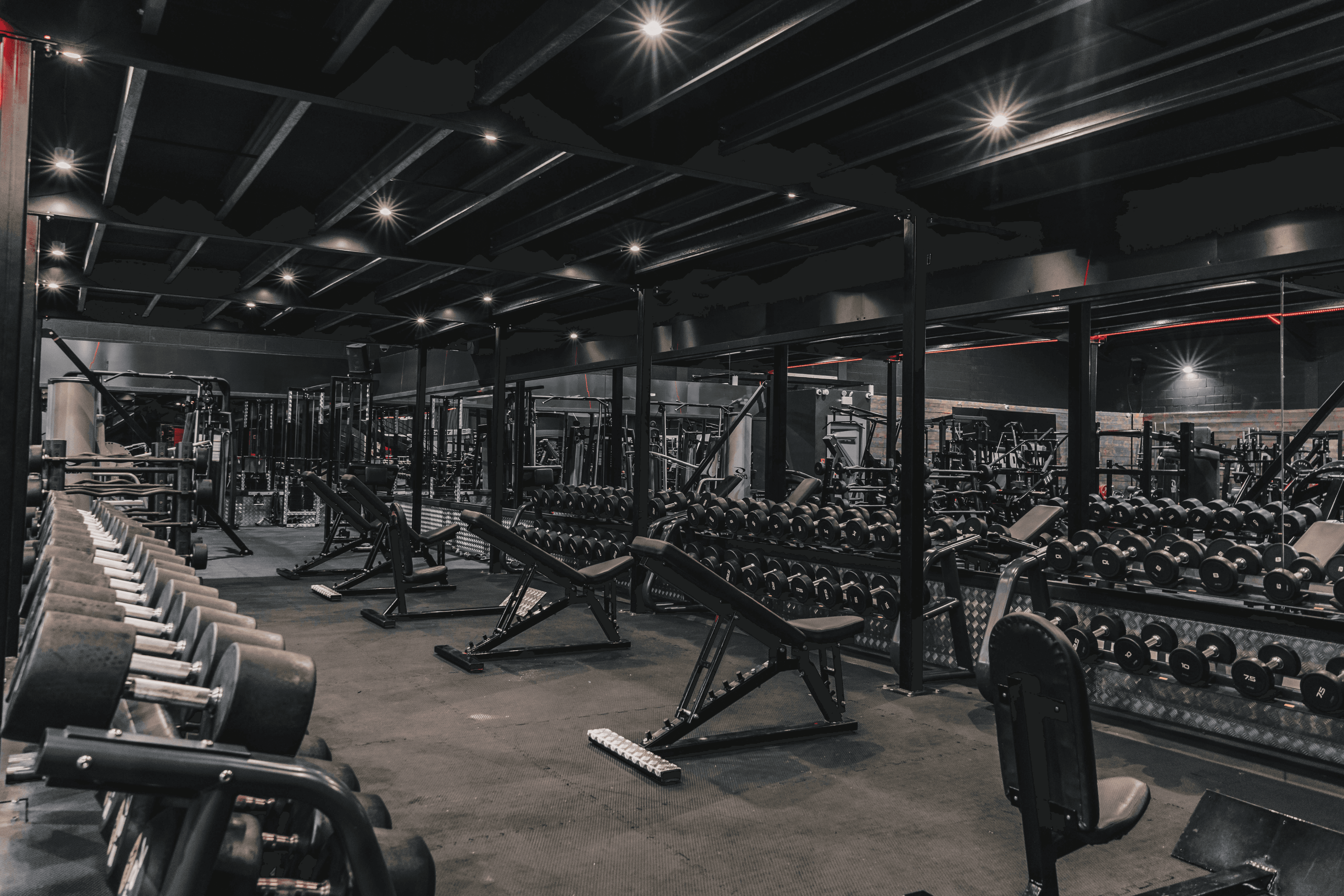 Empty modern gym in a sunny day