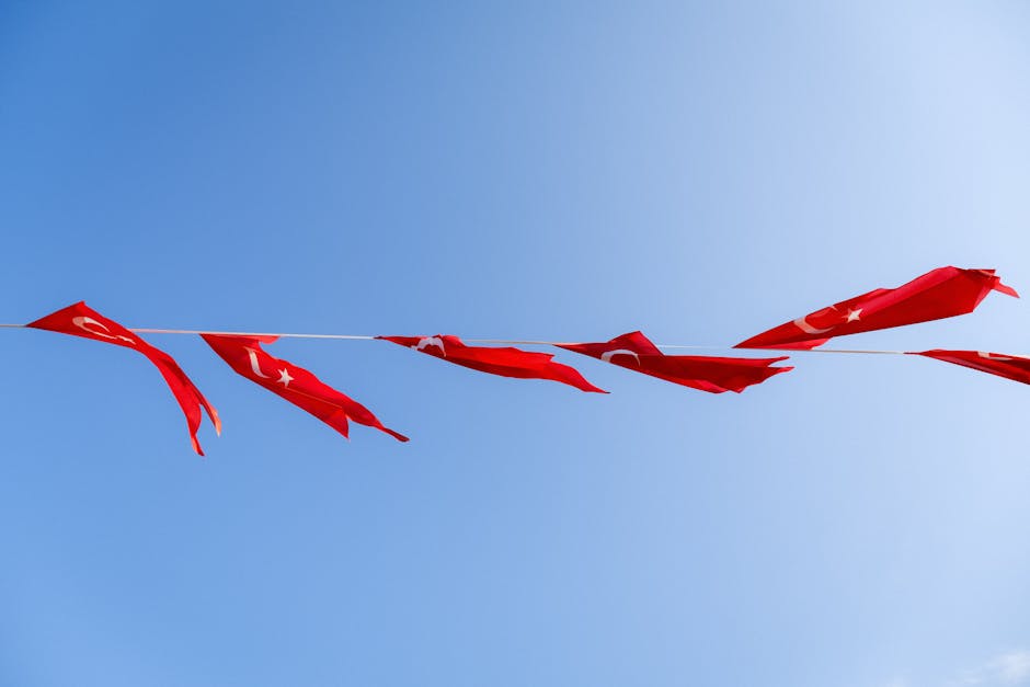 design agency red flags example