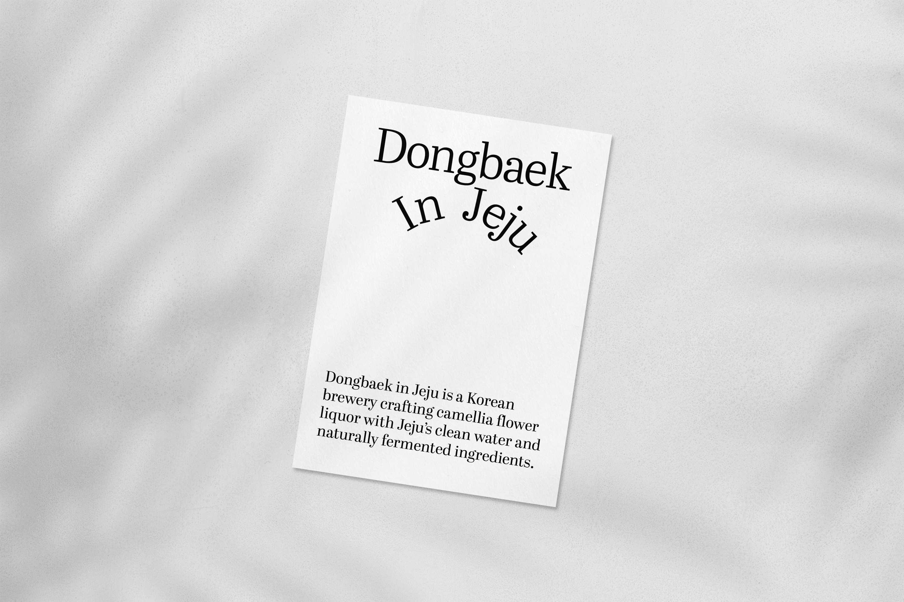 Project Gallery Image for 50% width of the screen #2