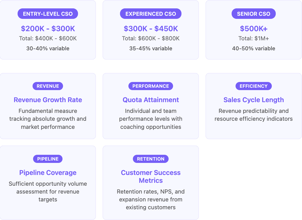 Chief Sales Officer Compensation