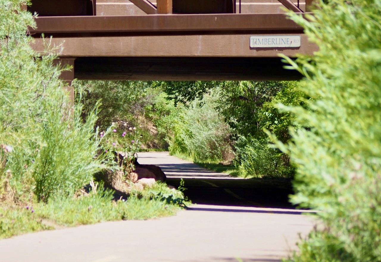 Tree lined trail with underpeass and sign reading Prospect.