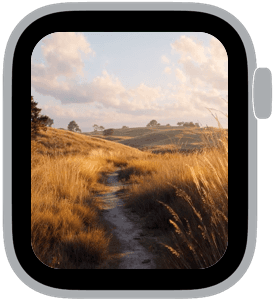 harvest light Apple Watch face preview 3 featuring autumn and summer.