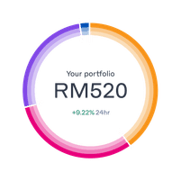 portfolio-ring-breakdown