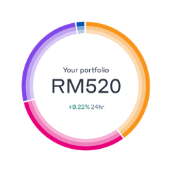 portfolio-ring-breakdown