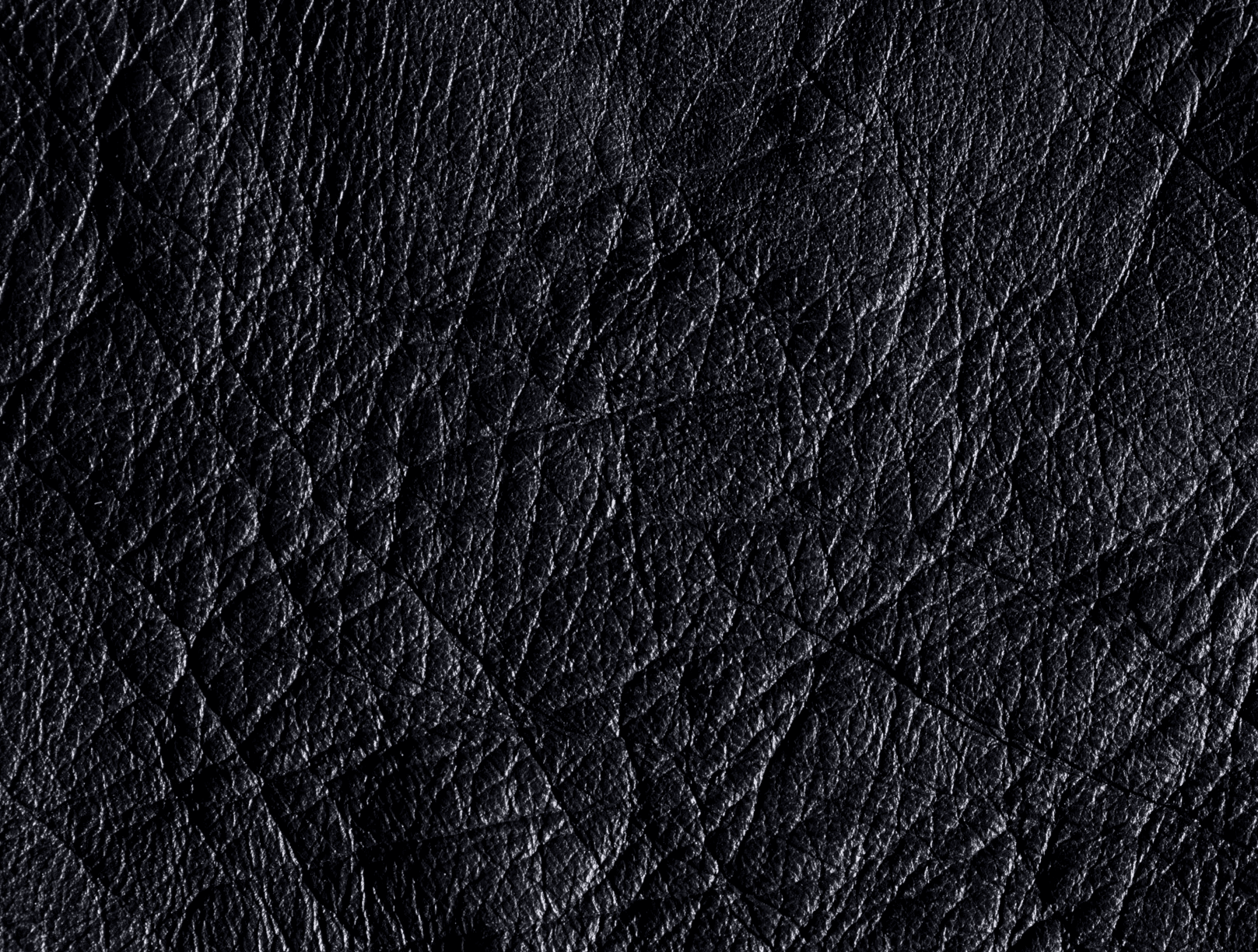 Fine-Grain Leather Texure Journal Cover